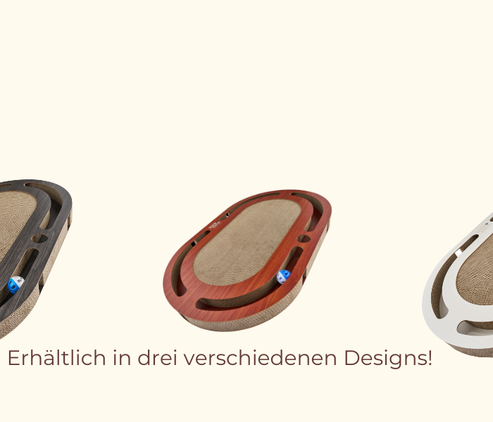 <h2>Das nachhaltige Kratzbrett: mit austauschbarer Pappe!</h2>